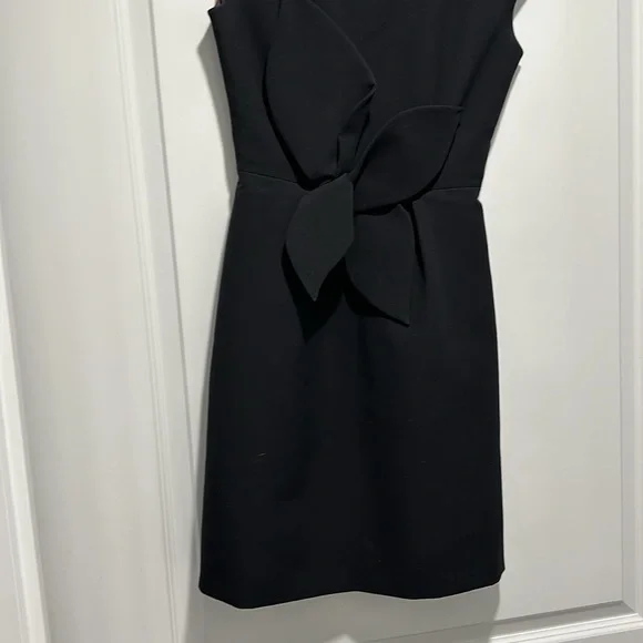 Ted Baker dress - Picture 4 of 12
